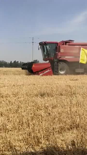 国产收割机收割小麦视频,展现农业现代化风采