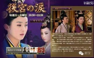 国产政治视频,展现时代脉搏，传递国家力量